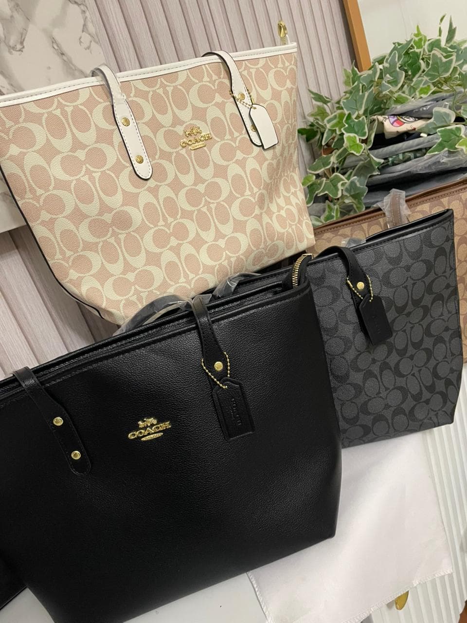 coach tote